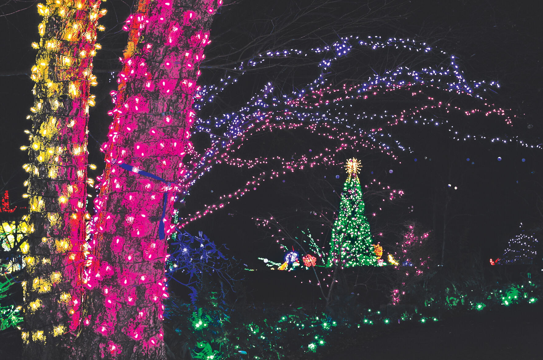 Winter Walk of Light 2020 3